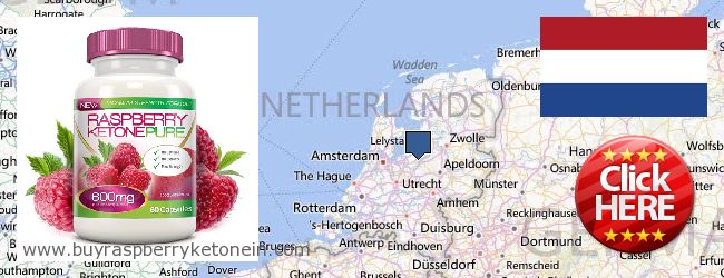 Dove acquistare Raspberry Ketone in linea Netherlands